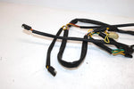 02 Arctic Cat Zr 600 Efi Cc Oem Main Wire Harness 0686-750 SA268