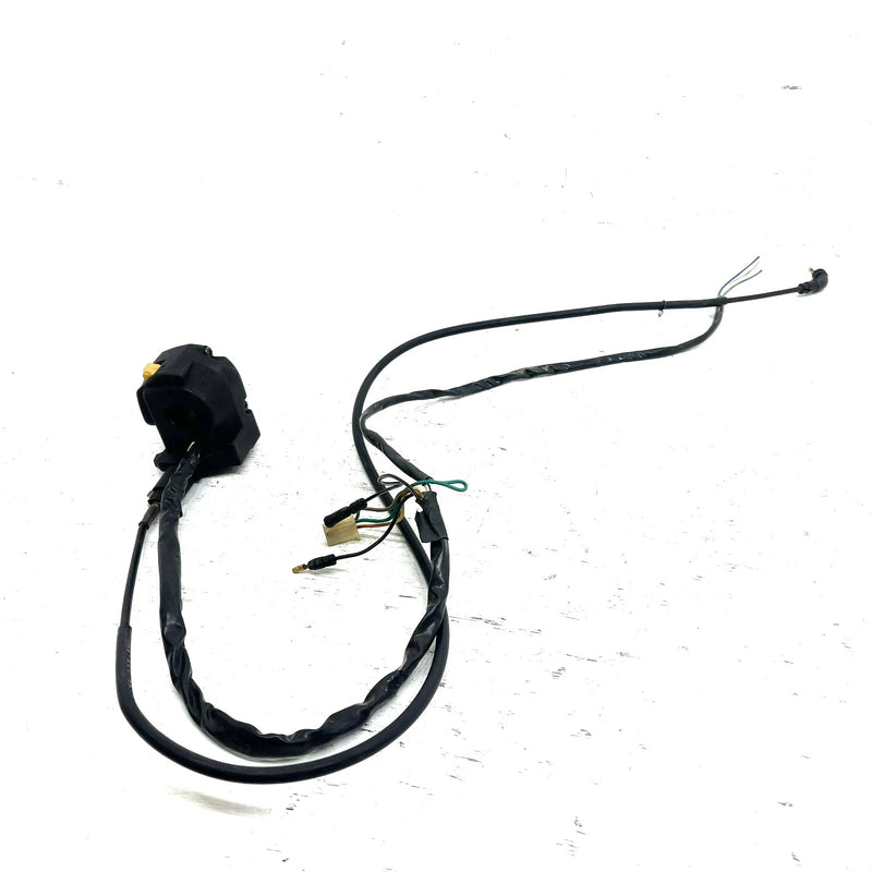 96-97 Honda FourTrax 300 TRX300FW 4x4 OEM Start/Light Switch 35200-HM5-850 AH45