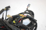 02 Arctic Cat Pantera 600 Esr Efi Oem Main Wire Harness 0686-774 SAS8