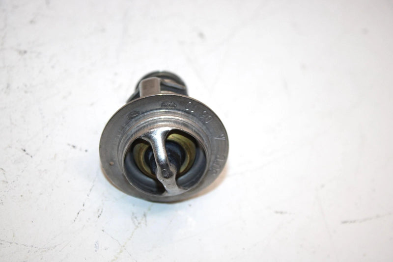 08 Arctic Cat F1000 Sno Pro Efi Oem Thermostat And Cover 3007-304 3007-041 SAS9
