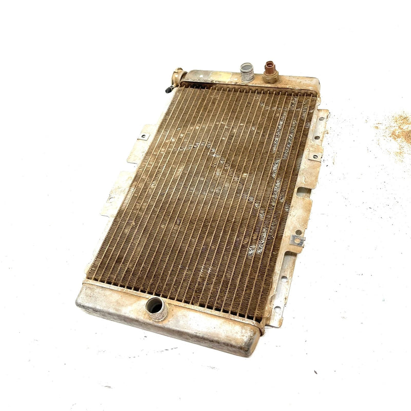 2004 Yamaha Rhino 660 OEM Radiator 5UG-E2461-00-00 XY3