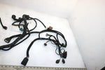08 Arctic Cat F1000 Sno Pro Efi Oem Main Wire Harness 1686-417 SAS9