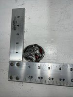 New Children’s Western Express Horse Head Red Belt Buckle. S-15 F-3