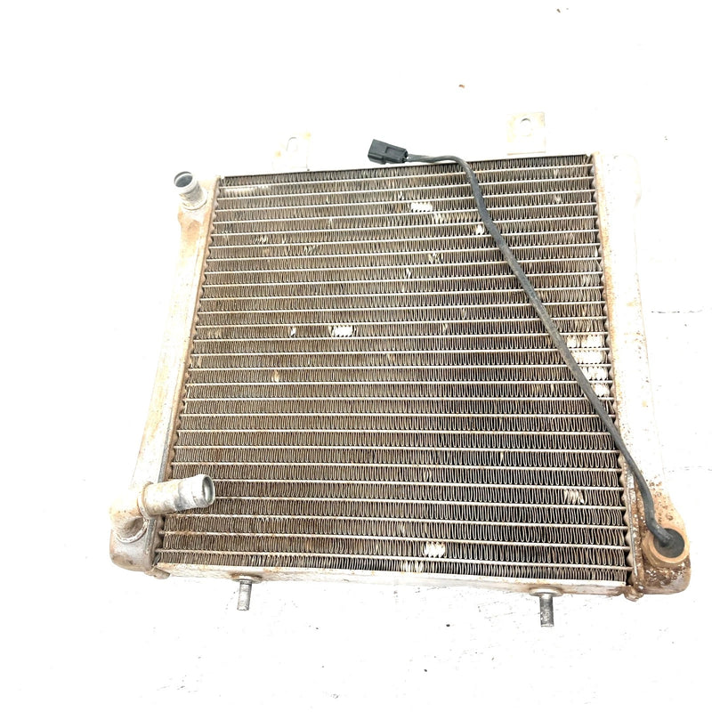 00-02 Polaris Sportsman 500 OEM Radiator W/Screen 5433317 AP220