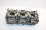 1998 Arctic Cat Ts-l 1000 Oem Crankcase 3008-507 JA11