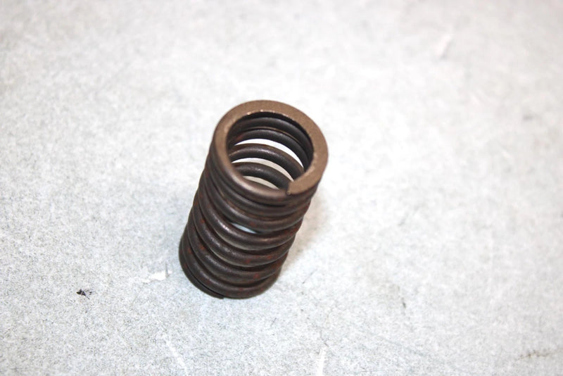 05 Yamaha  Bruin  4wd Hunter  Oem Valve Spring Set 22U-12113-00-00 AY38