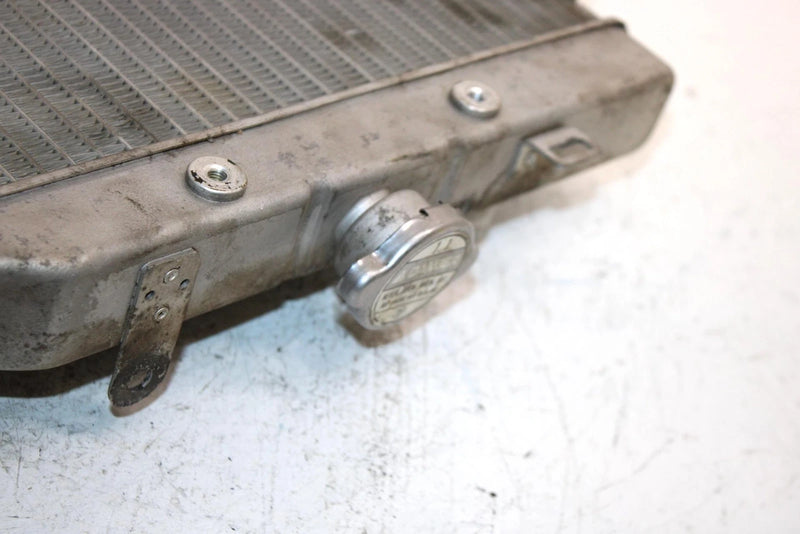 2004 Honda Fourtrax Foreman Rubicon Oem Radiator 19010-HN2-505 AH5