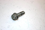 95 Kawasaki Bayou 400 Klf400b 4x4 Oem Flanged Bolt (Qty6) 130P0830 AKS