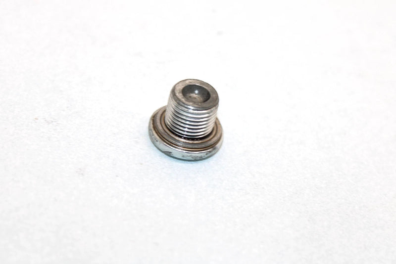 03 Arctic Cat 500 Fis Automatic  Oem Rocker Arm Plug Bolt 3402-040 AA19