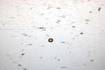 2001 Ski-doo Mxz 800 Oem Carb Needle Spacer 404137600 SS19 