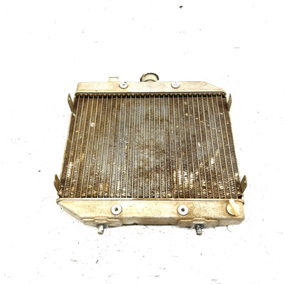 01-04 Honda Foreman Rubicon 500 TRX500 OEM Radiator 19010-HN2-505 AH79