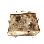 01-04 Honda Foreman Rubicon 500 TRX500FA 4x4 OEM Radiator  19010-HN2-505 AH86