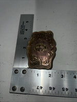 New Women’s M&F Gold “O” Belt Buckle. 38087-0 A-98