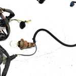 05-06 Polaris Sportsman 800 EFI OEM Main Wire Harness 2410528 AP188