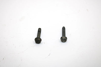 Ski-doo Oem Taptite Screw M5x25 Pair 420241271 Q4352