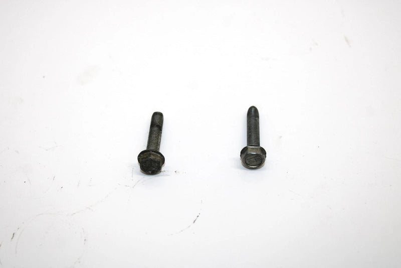 Ski-doo Oem Taptite Screw M5x25 Pair 420241271 Q4352