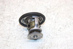 2007 Honda Fortrax 680 Oem Thermostat 19300-HN8-003 19300-HN8-305 AH46