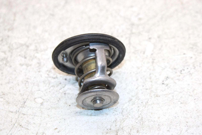 2007 Honda Fortrax 680 Oem Thermostat 19300-HN8-003 19300-HN8-305 AH46