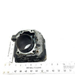 86-87 Honda FourTrax 200 TRX200SX 2x4 OEM 65mm Cylinder 12100-HB3-000 AH91