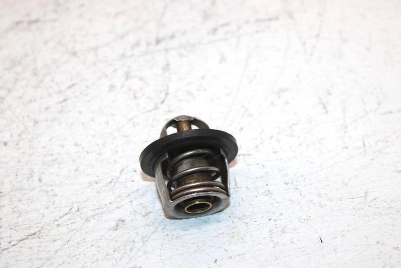 2002 Polaris Sportsman 700 Oem Thermostat 7052308 AP184