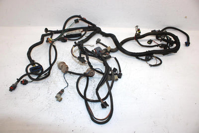 2006 Polaris Sportsman 500 Oem Main Wire Harness 2410625 AP183