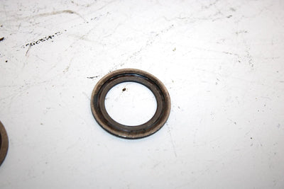 02 Arctic Cat Zr 600 Efi Cc Oem Wrist Pin Washer Pair 3008-500 Q1807