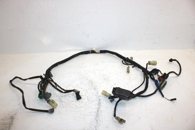 02 Honda Trx 350 Fea Fourtrax Rancher Oem Main Wire Harness 32100-HN5-A10 AH54
