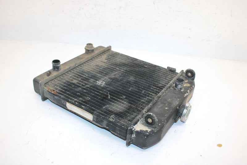 97 Arctic Cat Bearcat 454 4x4 Oem Radiator 0413-001 AA24