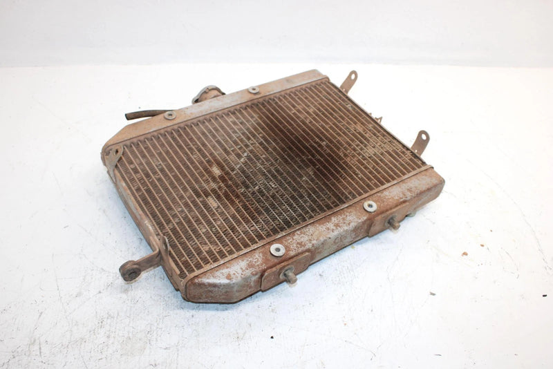 2004 Honda Fourtrax Rincon Oem Radiator 19010-HN8-A61 AH2