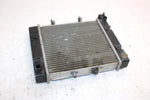 03 Bombardier Rally 175 Oem Radiator A19100179000 AB7