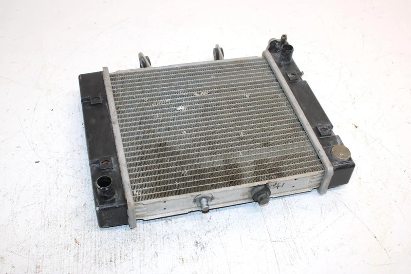 03 Bombardier Rally 175 Oem Radiator A19100179000 AB7