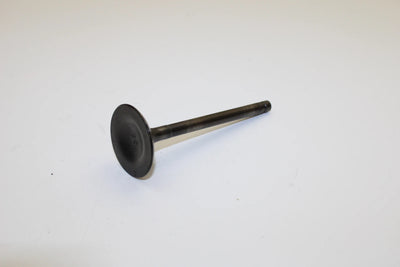 00 Kawasaki Bayou 300 4x4 OEM Intake Valve 12004-1123 AK8