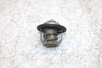 2002 Honda Foreman Rubicon 500 Oem Thermostat 19300-HN2-003 AH53