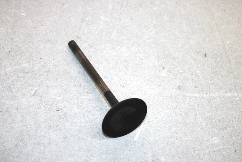 05 Yamaha  Bruin  4wd Hunter  Oem Intake Valve 1UY-12111-01-00 AY38