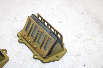 01 Arctic Cat Mountain Cat 800 Oem Reed Valve Pair 3005-876 SAS9