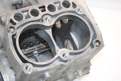 07 Polaris Sportsman 800 Efi Oem Crankcase 2203300 AP59