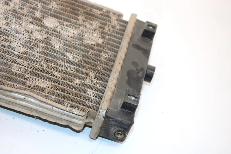 08 Arctic Cat Atv 250 Utility 2x4  Oem Radiator 3303-737 AA13