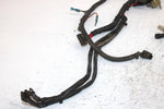 2002 Polaris Sportsman 700 Oem Main Harness 2460936 AP184