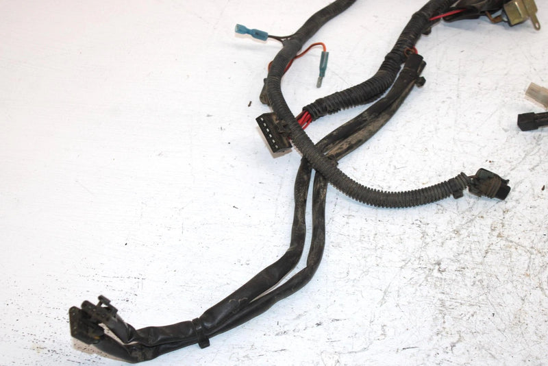 2002 Polaris Sportsman 700 Oem Main Harness 2460936 AP184