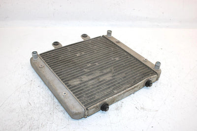 2014 Polaris Sportsman 570 Oem Radiator 1240520 1241477 AP73