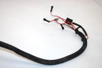 95 Polaris 300 4x4 Oem Main Wire Harness 2460498 AP39