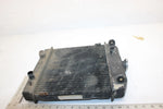 97 Arctic Cat Bearcat 454 4x4 Oem Radiator 0413-001 AA24