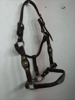 New Circle S Leather Yearling Show Halter Silver Buckles 3C-14