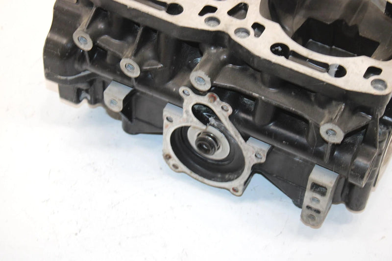 04 Arctic Cat Zr 900 Sno Pro Efi Oem Crankcase 3006-460 SA54