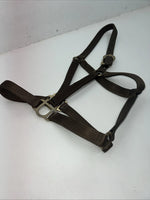 New Brown Nylon Full Horse Halter Gold Buckles NN-600