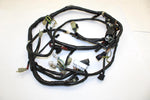Yamaha Oem Main Wiring Harness 8EK-82590-10-00 B370