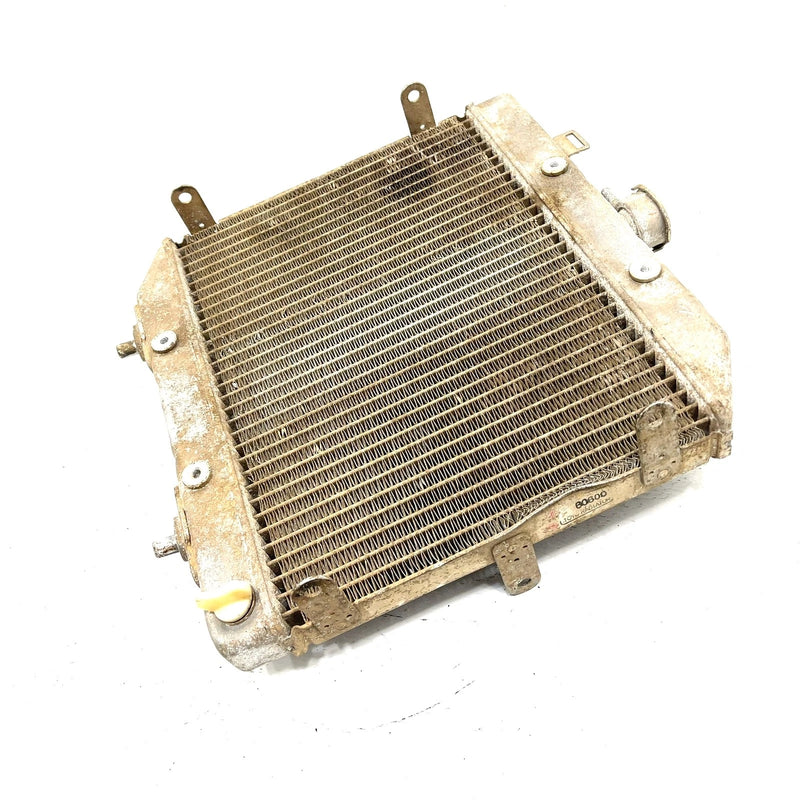 01-04 Honda Foreman Rubicon 500 TRX500 4x4 OEM Radiator 19010-HN2-505 AH87