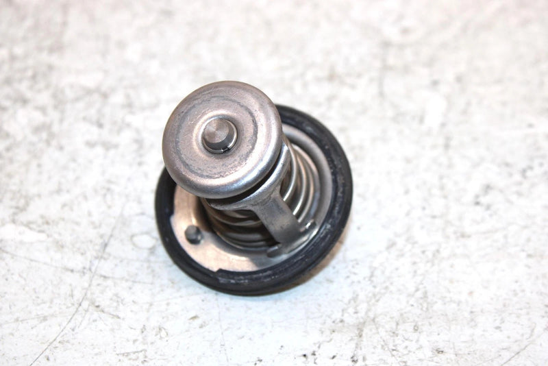 2007 Honda Fortrax 680 Oem Thermostat 19300-HN8-003 19300-HN8-305 AH46