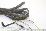98 POLARIS TRAIL OEM MAIN ENGINE WIRING HARNESS MOTOR WIRE LOOM 2460490 SP114