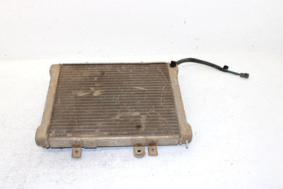 2004 Polaris Sportsman 600 Oem Radiator 1240534 AP20